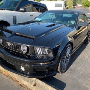 Meet your Posher, Harry